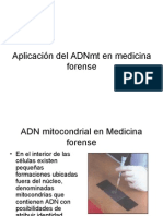 ADN Mitocondrial en Medicina Forence