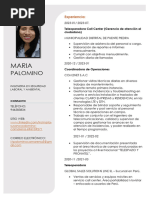 Curriculum Vitae Doc - María Palomino