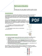 Património Genético - Biologia 12