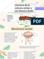 Estructura de La Membrana Celular y Modelo Mosaico