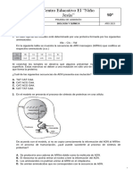 Examen Admision 11°