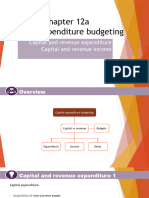 Capital and Revenue Expenditure