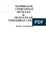 Diaphragm, Intercostal Muscles and Muscles of The Vertebral Column