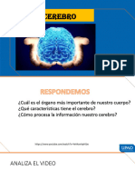 Semana 2 Diapositivas Neuropedagogia