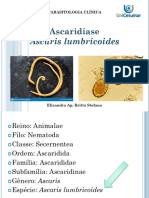 Aula 22. Ascaris - Lumbricoides e Ancilostomose