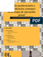 Derecho Penitenciario - Dra Eva Recinos