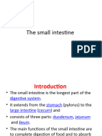 The Small Intestine-1