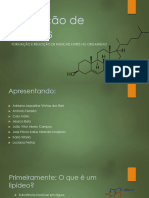 Oxidação de Lipídeos 2.0 - Cta Ufra