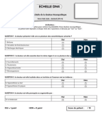 Echelle DN4