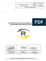 Rin-P-Gi-002 Procedimiento Escrito de Trabajo Seguro