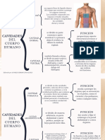 Grafica Cuadro Sinoptico Tendencias de Diseño Profesional Crema