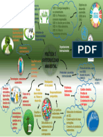 Mapa Mental Politica y Sostenibilidad Ambiental Internacional