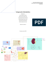 Integración Metabólica