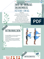 T3-T4 - Metodos de Analisis Ergonomicos - OWAS