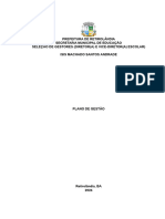 Plano de Ação - Isis Machado