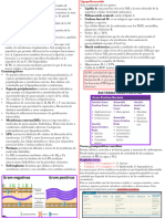 Gram Positivas