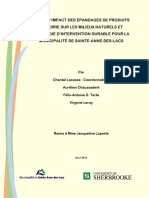 HTTPSWWW - Sadl.qc - Cawp-Contentuploads201601rapport Final SADL PDF