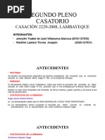 Segundo Pleno Casatorio