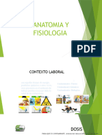 Anatomia