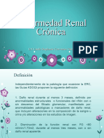 Enfermedad Renal Crónica