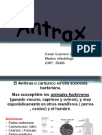 Ántrax Cesar