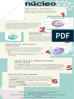 Infografía Educativa Escolar Dibujos Divertida Turquesa y Crema