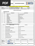 P225 Report Sample