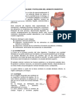 Anatomía, Fisiologia y Patológia Del Aparato Digestivo