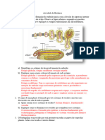 Prova Transcrita Botanica 2