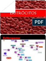 Proteínas Da Membrana Eritrocitária