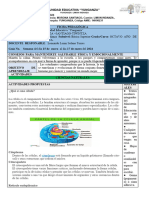 Ficha Pedagógica de Octavo Completa Del 15