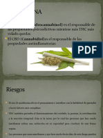 Efectos de Las Drogas en El Organismo