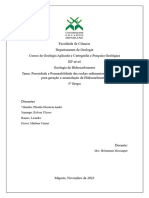 Porosidade e Permeabilidade - Trabalho de Hidrocarbonetos