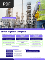 Servicio Brigadas