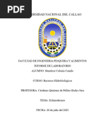 Informe de Equinodermos