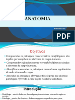 Anatomia Aula 01