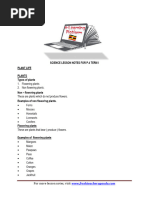 p4 Science Lesson Notes All Terms