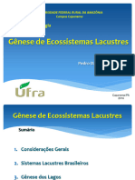 Aula 02 Genese de Ecossistemas Lacustres