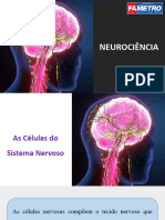 Aula de Neurociência Celulas Nervosas