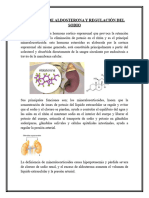 Secreción de Aldosterona y Regulación Del Sodio