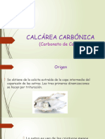 Calcárea Carbónica