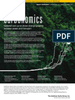 Goldman Sachs Report 2023 - Carbon Credits