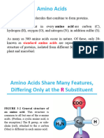 02 BCH101 Lecture 2 Protein