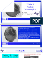 Tema II - Analisis Macroscopico