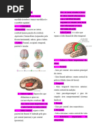 Resumo Neuroanatomia