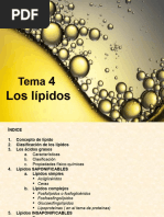 T 4. - Lípidos