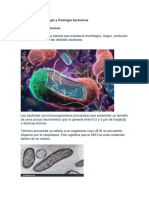 Morfología y Fisiología Bacteriana