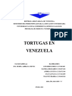 Seminario. Tortugas en Venezuela