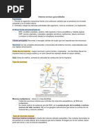 3 Generalidades Del Sistema Nervioso