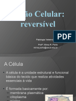 Aula 2 - Lesão Celular Reversível